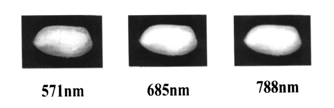 1684745986566971.png 圖片3.png