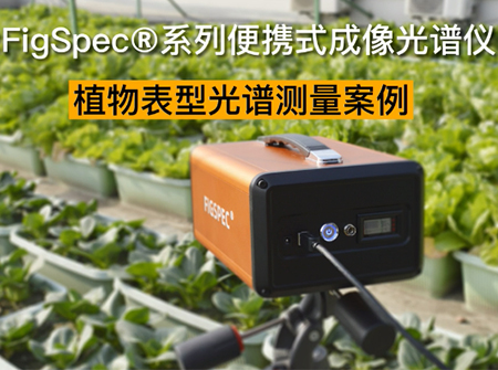 植物表型光譜測量案例視頻