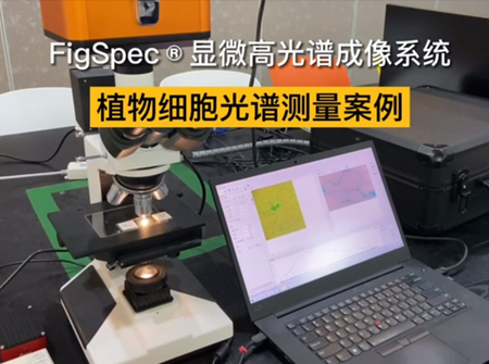 植物細胞光譜測量案例