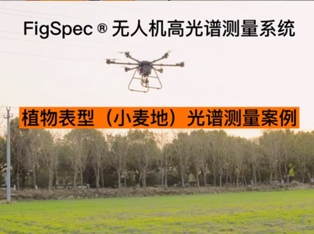 植物表型（小麥地）光譜測量案例視頻